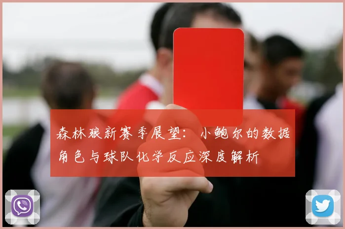 森林狼新赛季展望：小鲍尔的数据角色与球队化学反应深度解析