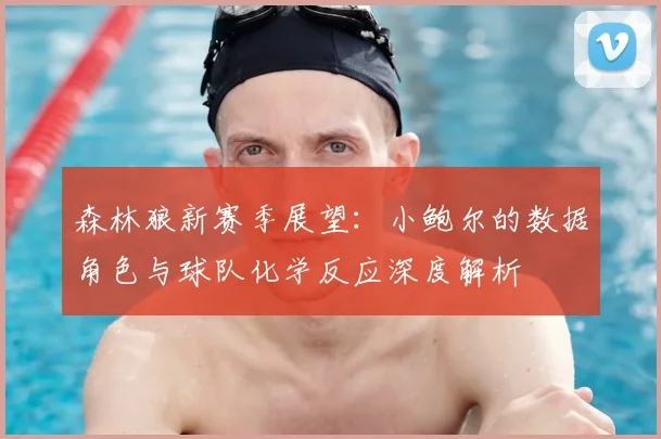 森林狼新赛季展望：小鲍尔的数据角色与球队化学反应深度解析